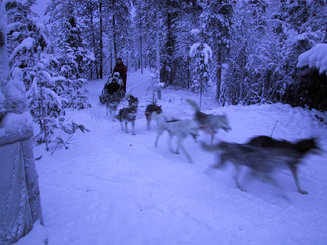 Rovaniemi, Lapland: visiting real Santa Claus