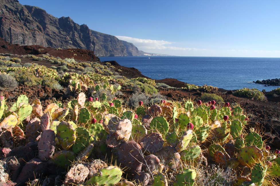 Canary Islands: Volcano Teide and La Gomera