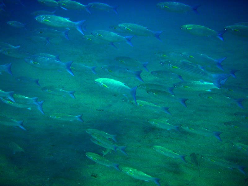 Egypt: Red Sea near Hurghada and below sea level