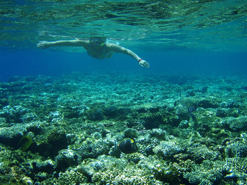 Snokering Red Sea near Tiran Islands