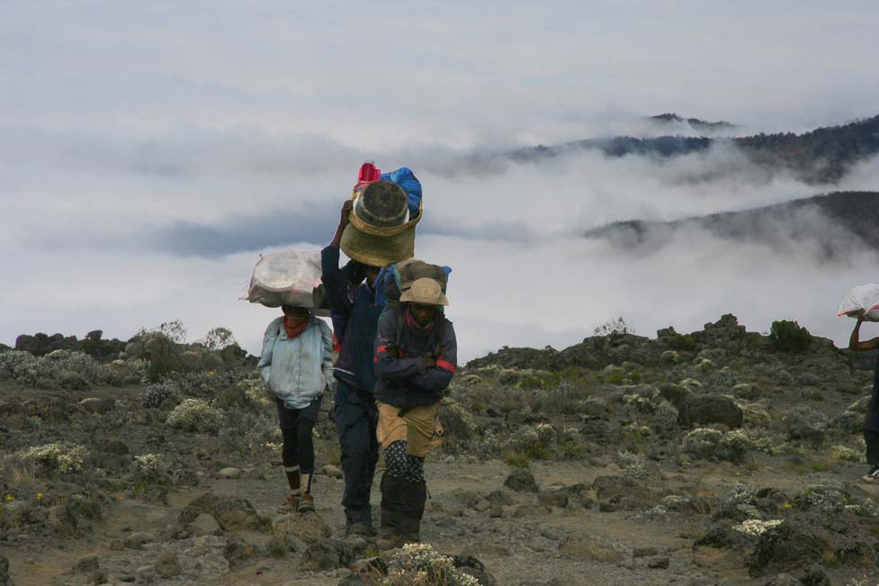 5th-6th day: Shira Camp 3840 – Lava Towers 4600 – Barranco Camp 3950 m – Barranco wall– Barafu Camp 4600