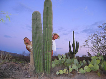 Saguaro: 5-meter cactus forests near Mexico border