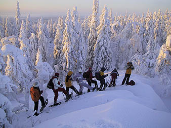 Cross-country skiing expedition in Koli mountains, Finnish Karelia