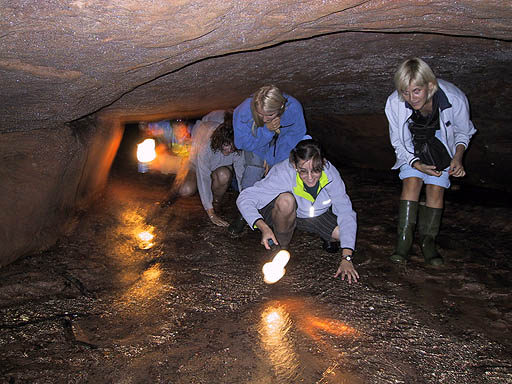 Underground lakes near Straupe