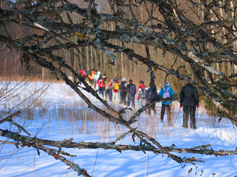 Cross country skiing around Asari lake