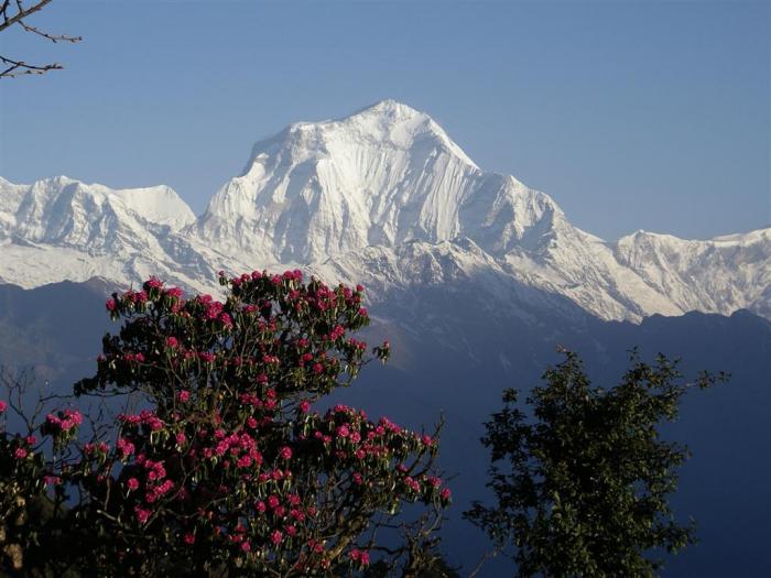 Dhaulagiri Circuit trek, Nepal