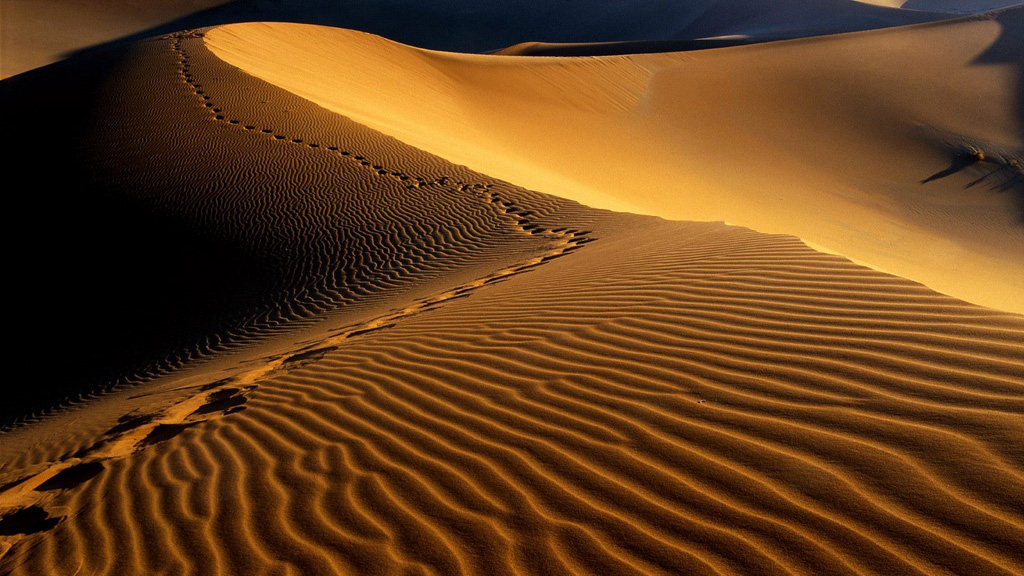 Namibia Desert, Namibia