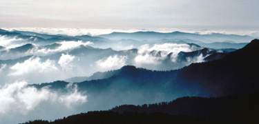 Appalachian Trail: Great Smoky Mountains, U.S.