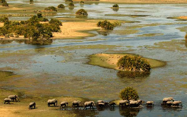 Okavango Delta, Botswana