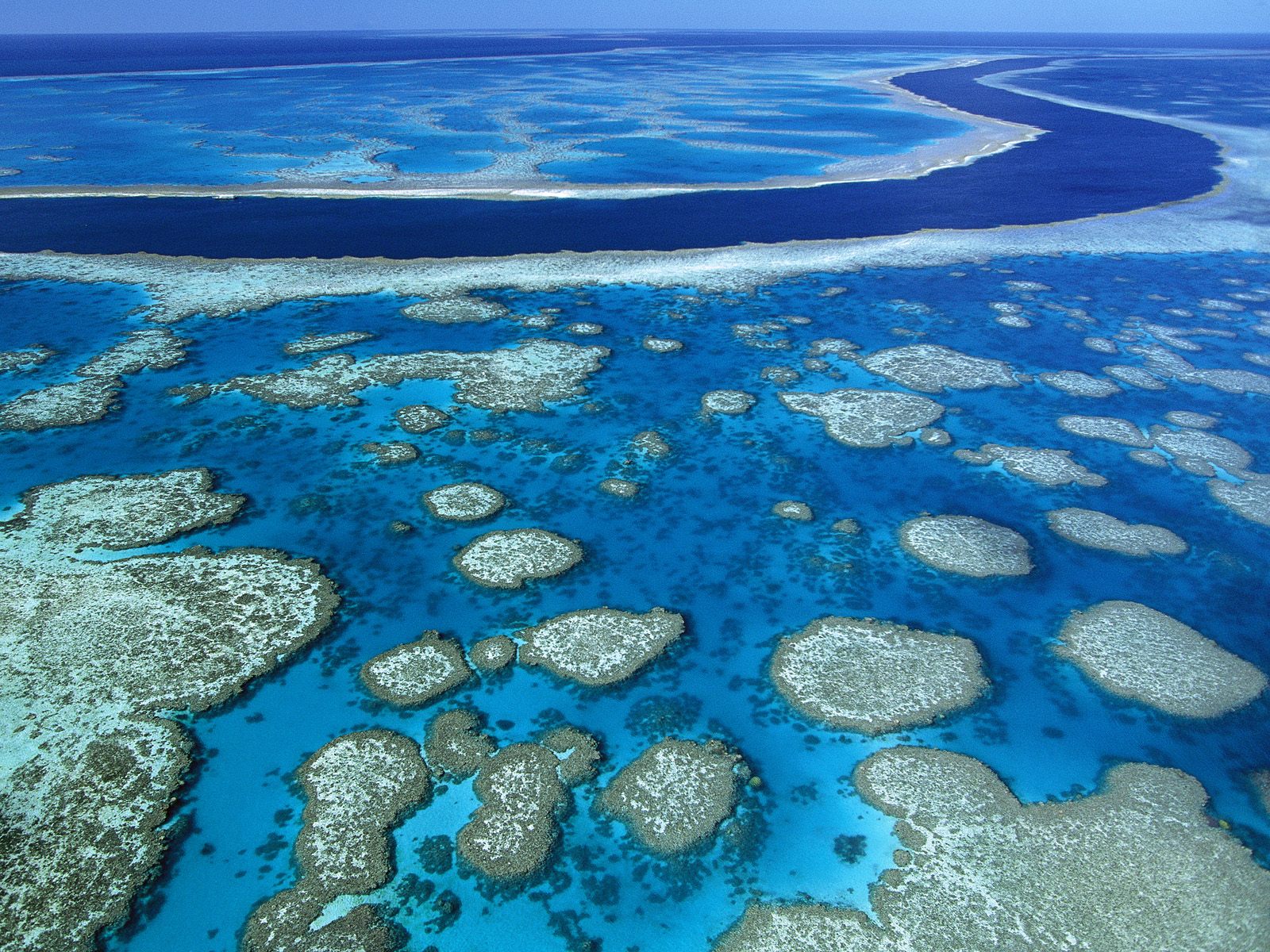 Great Barrier Reef, Australia