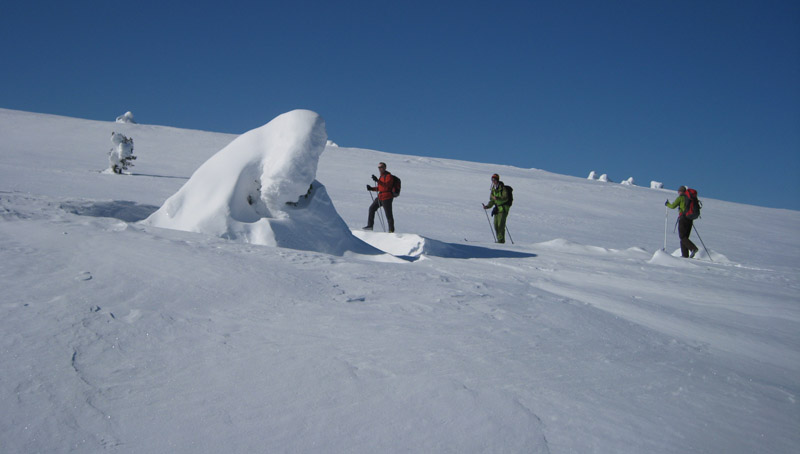 Cross country skiing in Lapland behind Polar circle