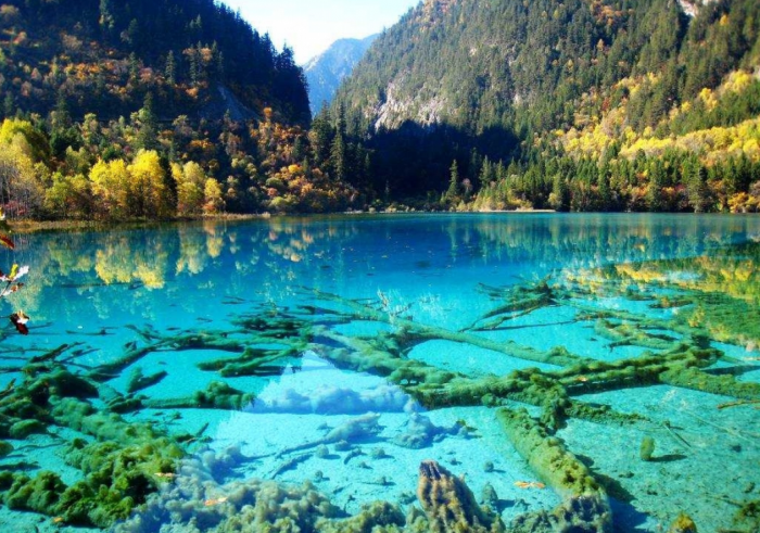 les_plus_beaux_lacs_du_monde_Parc_National_jiuzhaigo_Chine